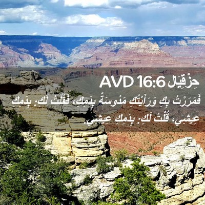 Picture 02 - حِزْقِيَال 16:6 AVD - فَمَرَرْتُ بِكِ - Bible Verse Picture