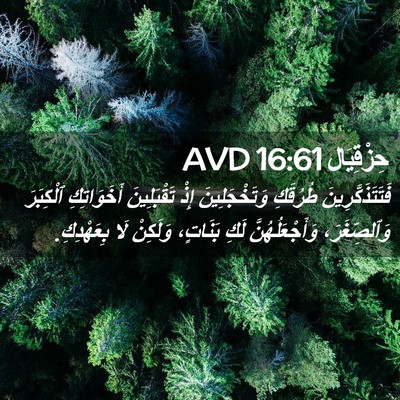 Picture 02 - حِزْقِيَال 16:61 AVD - فَتَتَذَكَّرِينَ طُرُقَكِ - Bible Verse Picture