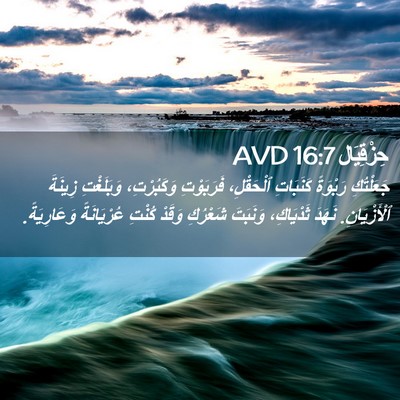 Picture 02 - حِزْقِيَال 16:7 AVD - جَعَلْتُكِ رَبْوَةً - Bible Verse Picture