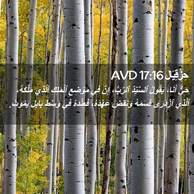 Picture 02 - حِزْقِيَال 17:16 AVD - حَيٌّ أَنَا، يَقُولُ - Bible Verse Picture