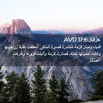 Picture 02 - حِزْقِيَال 17:6 AVD - فَنَبَتَ وَصَارَ كَرْمَةً - Bible Verse Picture