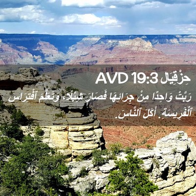 Picture 02 - حِزْقِيَال 19:3 AVD - رَبَّتْ وَاحِدًا مِنْ - Bible Verse Picture