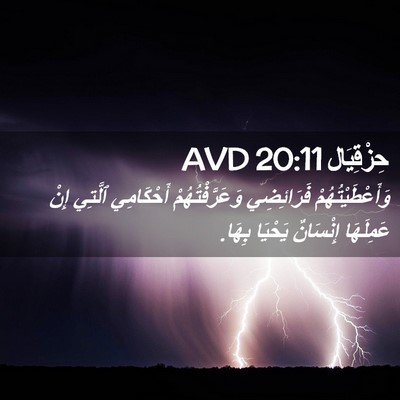 Picture 02 - حِزْقِيَال 20:11 AVD - وَأَعْطَيْتُهُمْ - Bible Verse Picture