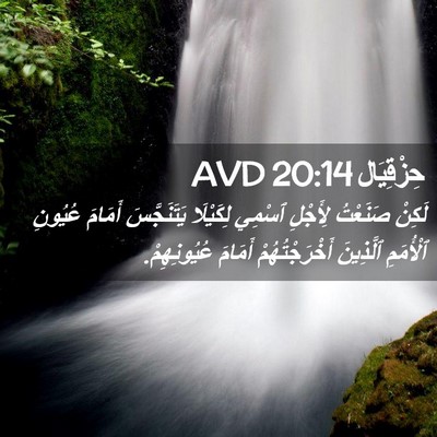 Picture 02 - حِزْقِيَال 20:14 AVD - لَكِنْ صَنَعْتُ لِأَجْلِ - Bible Verse Picture