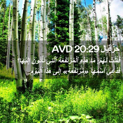 Picture 02 - حِزْقِيَال 20:29 AVD - فَقُلْتُ لَهُمْ: مَا - Bible Verse Picture