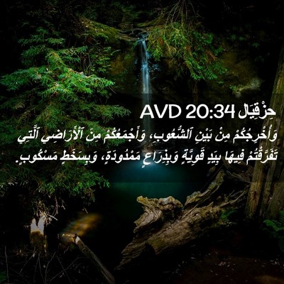 Picture 02 - حِزْقِيَال 20:34 AVD - وَأُخْرِجُكُمْ مِنْ - Bible Verse Picture