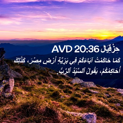 Picture 02 - حِزْقِيَال 20:36 AVD - كَمَا حَاكَمْتُ - Bible Verse Picture
