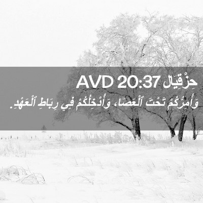 Picture 02 - حِزْقِيَال 20:37 AVD - وَأُمِرُّكُمْ تَحْتَ - Bible Verse Picture