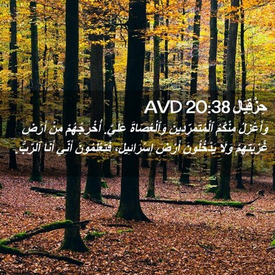 Picture 02 - حِزْقِيَال 20:38 AVD - وَأَعْزِلُ مِنْكُمُ - Bible Verse Picture