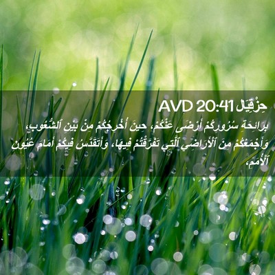 Picture 02 - حِزْقِيَال 20:41 AVD - بِرَائِحَةِ سُرُورِكُمْ - Bible Verse Picture