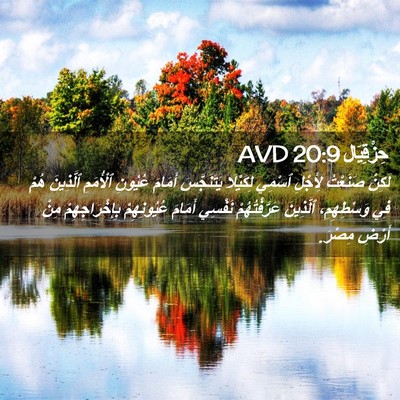 Picture 02 - حِزْقِيَال 20:9 AVD - لَكِنْ صَنَعْتُ لِأَجْلِ - Bible Verse Picture