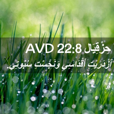 Picture 02 - حِزْقِيَال 22:8 AVD - ٱزْدَرَيْتِ أَقْدَاسِي - Bible Verse Picture