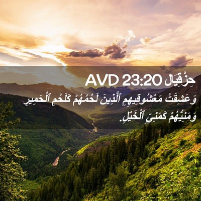 Picture 02 - حِزْقِيَال 23:20 AVD - وَعَشِقَتْ مَعْشُوقِيهِمِ - Bible Verse Picture
