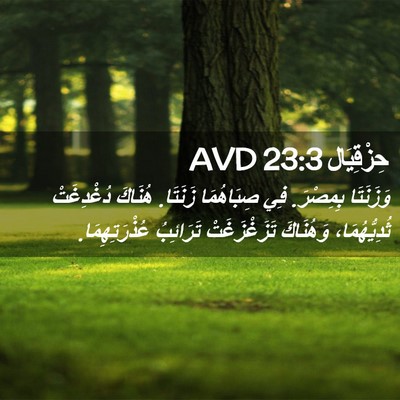 Picture 02 - حِزْقِيَال 23:3 AVD - وَزَنَتَا بِمِصْرَ. فِي - Bible Verse Picture