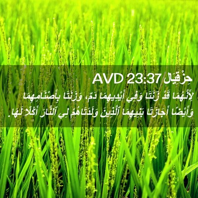 Picture 02 - حِزْقِيَال 23:37 AVD - لِأَنَّهُمَا قَدْ زَنَتَا - Bible Verse Picture