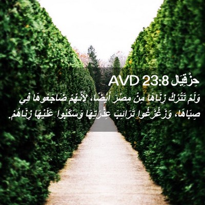 Picture 02 - حِزْقِيَال 23:8 AVD - وَلَمْ تَتْرُكْ زِنَاهَا - Bible Verse Picture
