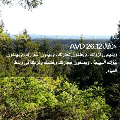 Picture 02 - حِزْقِيَال 26:12 AVD - وَيَنْهَبُونَ ثَرْوَتَكِ، - Bible Verse Picture