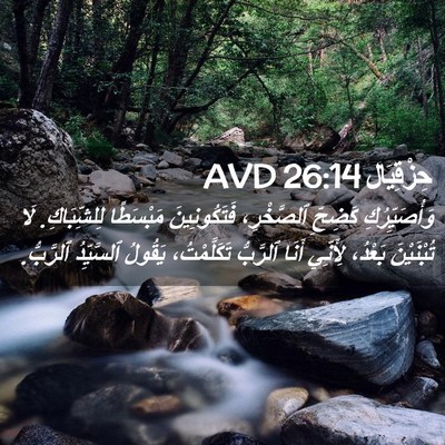 Picture 02 - حِزْقِيَال 26:14 AVD - وَأُصَيِّرُكِ كَضِحِّ - Bible Verse Picture