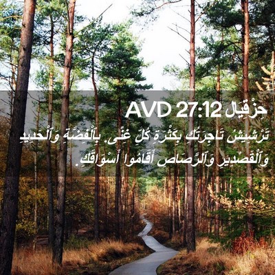 Picture 02 - حِزْقِيَال 27:12 AVD - تَرْشِيشُ تَاجِرَتُكِ - Bible Verse Picture