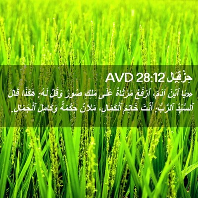 Picture 02 - حِزْقِيَال 28:12 AVD - «يَا ٱبْنَ آدَمَ، ٱرْفَعْ - Bible Verse Picture