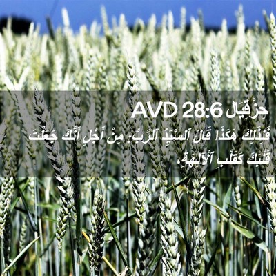 Picture 02 - حِزْقِيَال 28:6 AVD - فَلِذَلِكَ هَكَذَا قَالَ - Bible Verse Picture
