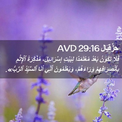 Picture 02 - حِزْقِيَال 29:16 AVD - فَلَا تَكُونُ بَعْدُ - Bible Verse Picture