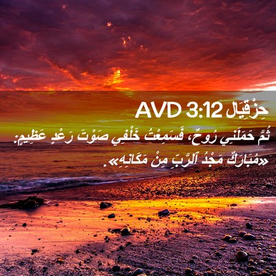 Picture 02 - حِزْقِيَال 3:12 AVD - ثُمَّ حَمَلَنِي رُوحٌ، - Bible Verse Picture