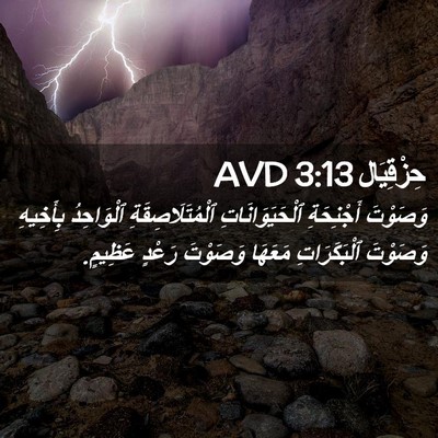 Picture 02 - حِزْقِيَال 3:13 AVD - وَصَوْتَ أَجْنِحَةِ - Bible Verse Picture