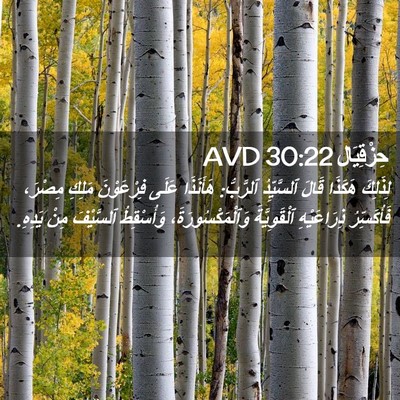 Picture 02 - حِزْقِيَال 30:22 AVD - لِذَلِكَ هَكَذَا قَالَ - Bible Verse Picture