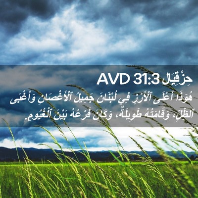 Picture 02 - حِزْقِيَال 31:3 AVD - هُوَذَا أَعْلَى ٱلْأَرْزِ - Bible Verse Picture