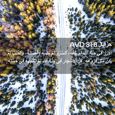 Picture 02 - حِزْقِيَال 31:8 AVD - اَلْأَرْزُ فِي جَنَّةِ - Bible Verse Picture