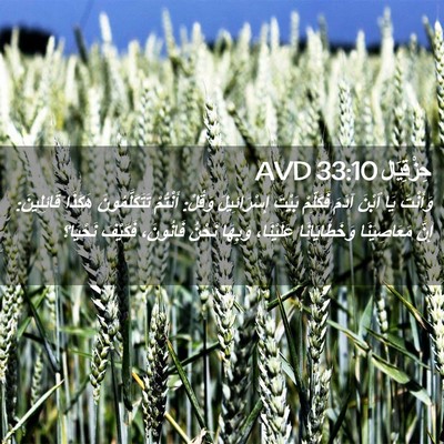 Picture 02 - حِزْقِيَال 33:10 AVD - وَأَنْتَ يَا ٱبْنَ آدَمَ - Bible Verse Picture