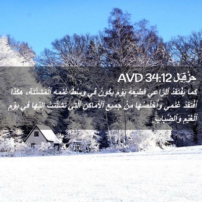 Picture 02 - حِزْقِيَال 34:12 AVD - كَمَا يَفْتَقِدُ - Bible Verse Picture