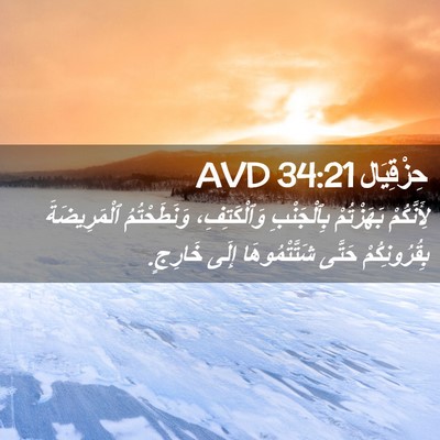 Picture 02 - حِزْقِيَال 34:21 AVD - لِأَنَّكُمْ بَهَزْتُمْ - Bible Verse Picture