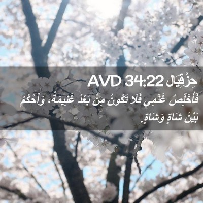 Picture 02 - حِزْقِيَال 34:22 AVD - فَأُخَلِّصُ غَنَمِي فَلَا - Bible Verse Picture