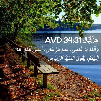 Picture 02 - حِزْقِيَال 34:31 AVD - وَأَنْتُمْ يَا غَنَمِي، - Bible Verse Picture