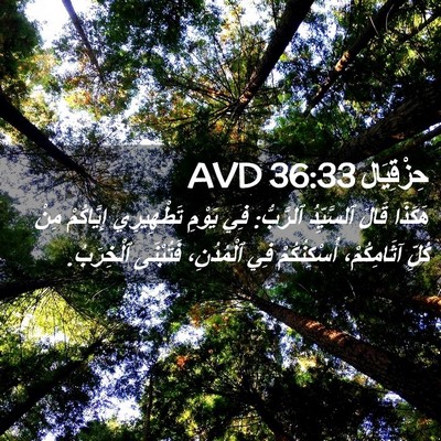 Picture 02 - حِزْقِيَال 36:33 AVD - هَكَذَا قَالَ ٱلسَّيِّدُ - Bible Verse Picture