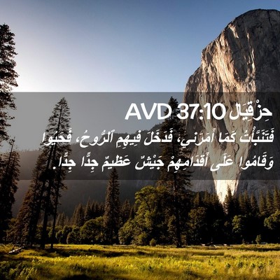Picture 02 - حِزْقِيَال 37:10 AVD - فَتَنَبَّأْتُ كَمَا - Bible Verse Picture