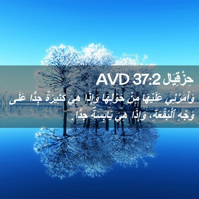 Picture 02 - حِزْقِيَال 37:2 AVD - وَأَمَرَّنِي عَلَيْهَا - Bible Verse Picture