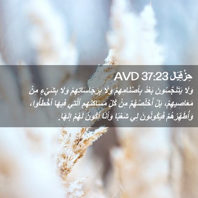Picture 02 - حِزْقِيَال 37:23 AVD - وَلَا يَتَنَجَّسُونَ - Bible Verse Picture