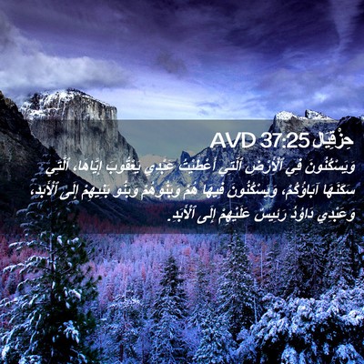 Picture 02 - حِزْقِيَال 37:25 AVD - وَيَسْكُنُونَ فِي - Bible Verse Picture