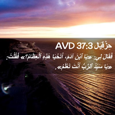 Picture 02 - حِزْقِيَال 37:3 AVD - فَقَالَ لِي: «يَا ٱبْنَ - Bible Verse Picture