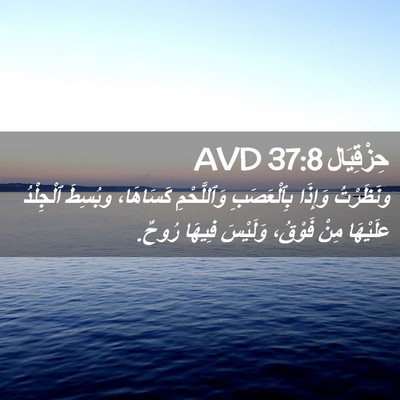 Picture 02 - حِزْقِيَال 37:8 AVD - ونَظَرْتُ وَإِذَا - Bible Verse Picture