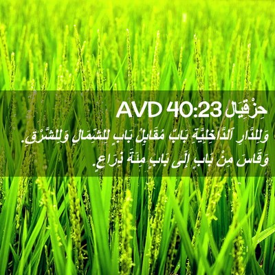 Picture 02 - حِزْقِيَال 40:23 AVD - وَلِلدَّارِ - Bible Verse Picture
