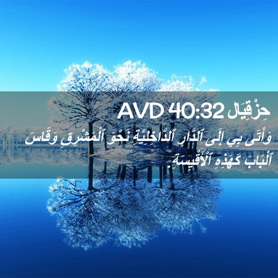 Picture 02 - حِزْقِيَال 40:32 AVD - وَأَتَى بِي إِلَى ٱلدَّارِ - Bible Verse Picture