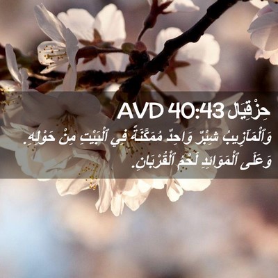 Picture 02 - حِزْقِيَال 40:43 AVD - وَٱلْمَآزِيبُ شِبْرٌ - Bible Verse Picture