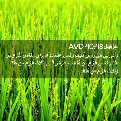 Picture 02 - حِزْقِيَال 40:48 AVD - وَأَتَى بِي إِلَى رِوَاقِ - Bible Verse Picture