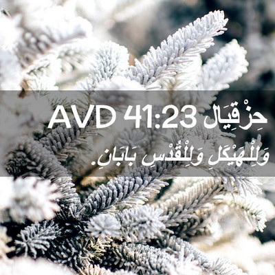 Picture 02 - حِزْقِيَال 41:23 AVD - وَلِلْهَيْكَلِ - Bible Verse Picture