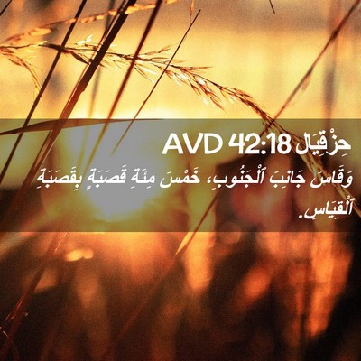 Picture 02 - حِزْقِيَال 42:18 AVD - وَقَاسَ جَانِبَ - Bible Verse Picture