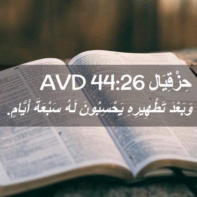 Picture 02 - حِزْقِيَال 44:26 AVD - وَبَعْدَ تَطْهِيرِهِ - Bible Verse Picture